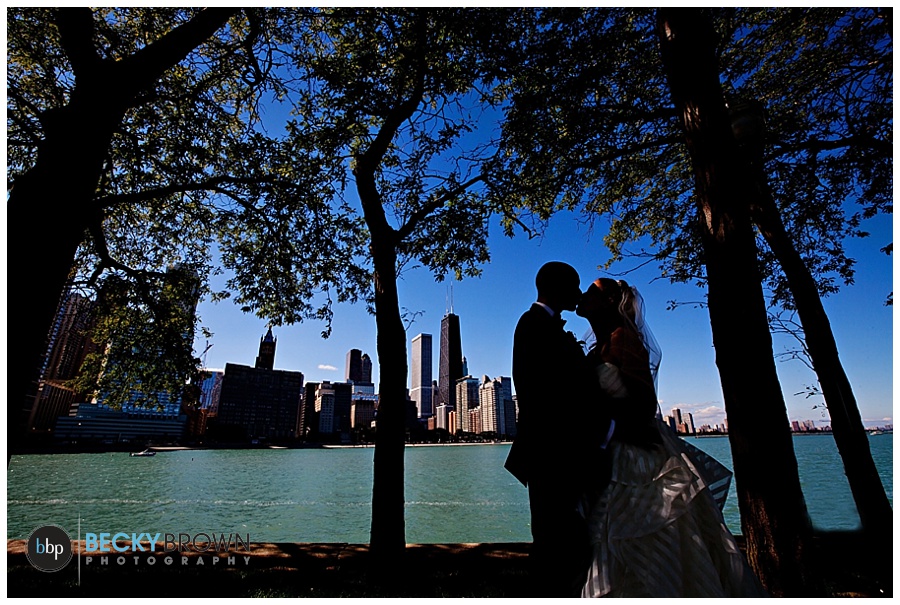 Olive park wedding chicago