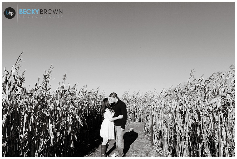 Corn maze engagement photos