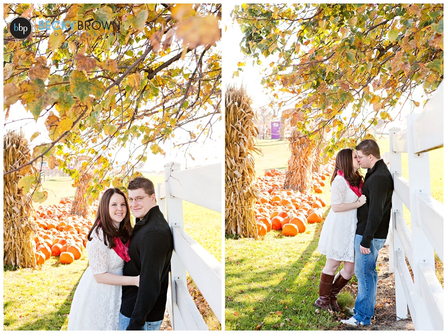Pumpkin patch engagement photos chicago