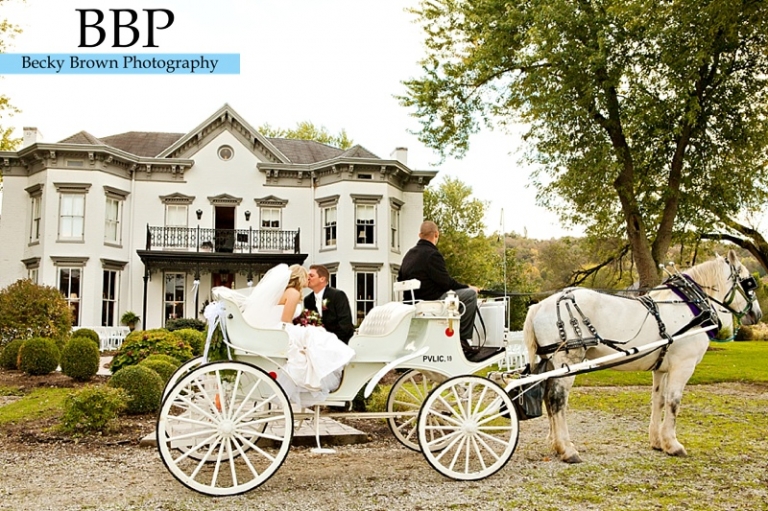 Horse and Carriage wedding photos
