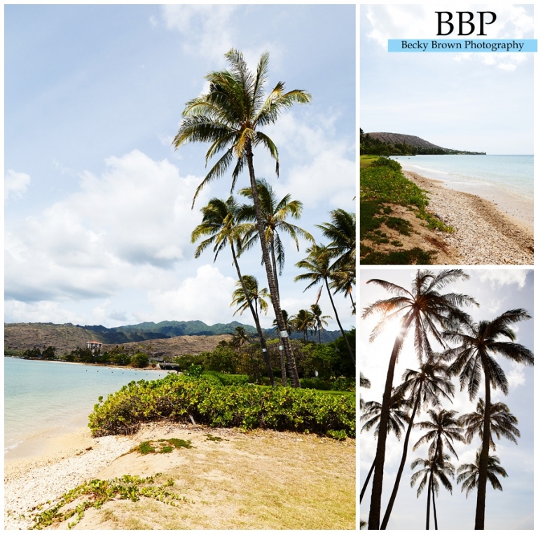 Chicago destination photographer