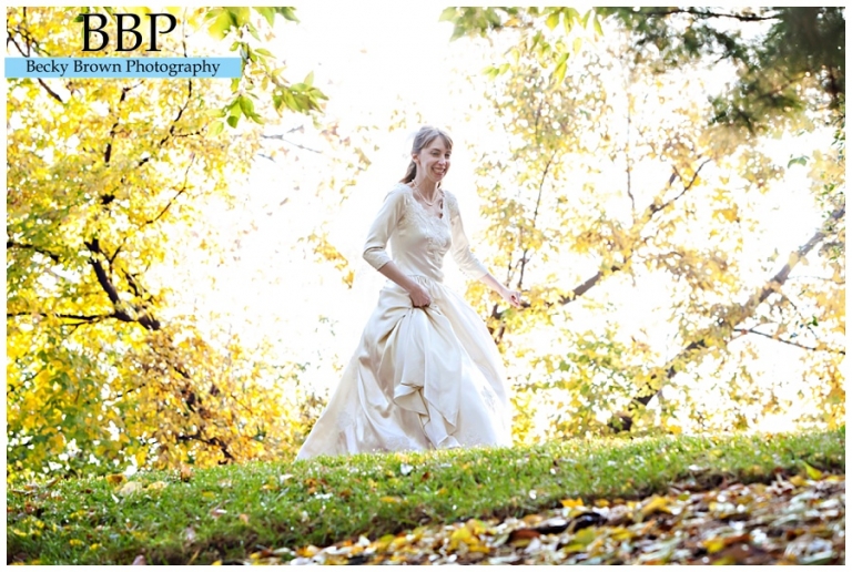 Naperville wedding photographer