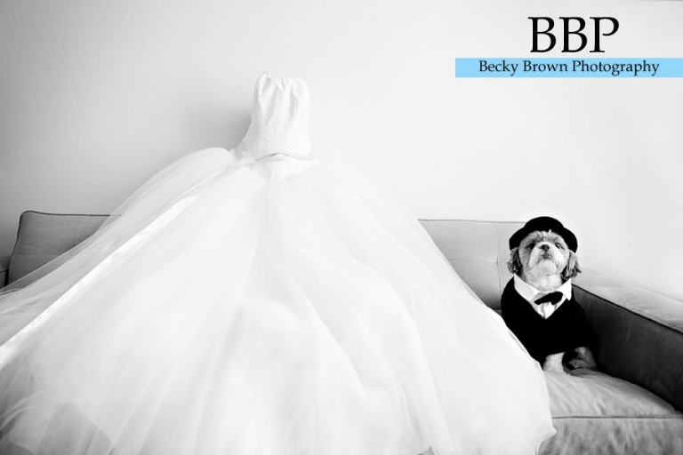 Chicago wedding photographers