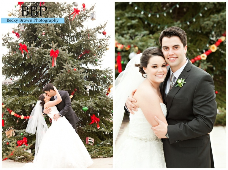 wedding photos with christmas trees